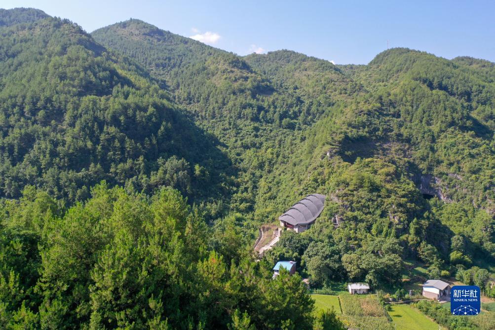巴黎人赌钱网址